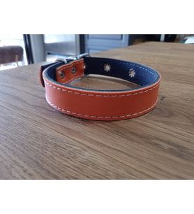 Neon Renkli Deri Kedi Köpek Tasması (Turuncu)