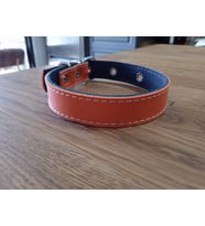 Neon Renkli Deri Kedi Köpek Tasması (Turuncu)