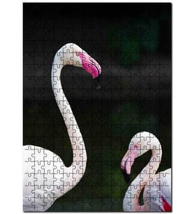 Cakapuzzle Büyük Küçük Filamingolar Görseli Puzzle Yapboz MDF (Ahşap) (1000 Parça)
