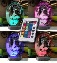 Kedilere Özel Oval Resimli Kişisel 3d Led Gece Lambası (Karışık)