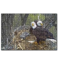 Cakapuzzle Yuvalarında Kartallar ve Yavruları  Puzzle Yapboz MDF (Ahşap) (1000 Parça)