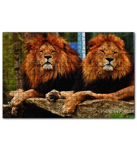 Cakapuzzle  İki Aslan  Puzzle Yapboz MDF (Ahşap) (500 Parça)