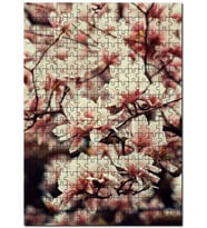 Cakapuzzle Dallarda Pembe Beyaz Manolya Çiçekleri Puzzle Yapboz MDF (Ahşap) (1000 Parça)