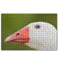 Cakapuzzle Mavi Gözlü Kaz Yakın Plan  Puzzle Yapboz MDF (Ahşap) (255 Parça)