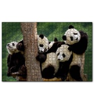 Cakapuzzle Sevimli Panda Yavruları  Puzzle Yapboz MDF (Ahşap) (500 Parça)