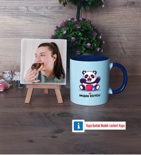 Sevimli Panda Fotoğraflı Dekoratif Taş, Kupa Bardak Beyaz Hediye (Model 3)