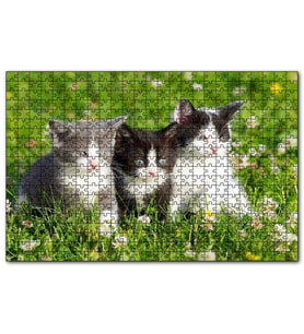 Cakapuzzle Çayırda Üç Yavru Kedi  Puzzle Yapboz MDF (Ahşap) (1000 Parça)