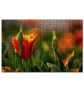 Cakapuzzle Kırmızı Laleler ve Yeşil Yapraklar Güneş Işığı  Puzzle Yapboz MDF (Ahşap) (500 Parça)