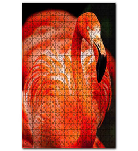 Cakapuzzle Zarif Flamingo Siyah Arkaplan Puzzle Yapboz MDF (Ahşap) (500 Parça)