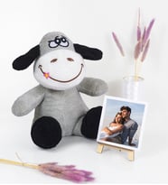 Kişiye Özel Fotoğraflı Ayaklı Şövalye & Sevimli Ayıcık (Model 8)