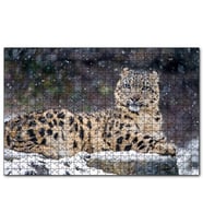 Cakapuzzle Kar Yağışı Ve Leopar Görseli  Puzzle Yapboz MDF (Ahşap) (1000 Parça)