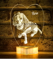 Evcil Hayvan Kedi Köpek Sahiplerine Hediye Kişiye Özel 3D Lamba (Beyaz)