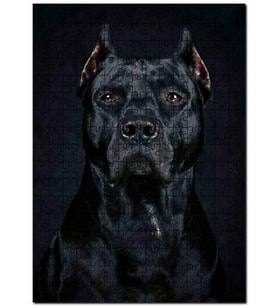 Cakapuzzle Pitbull Cinsi Köpek Puzzle Yapboz MDF (Ahşap) (255 Parça)
