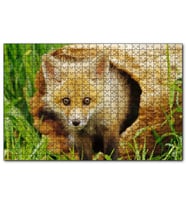 Cakapuzzle Ormanda Kütüğün İçinden Çıkan Meraklı Yavru Tilki  Puzzle Yapboz MDF (Ahşap) (1000 Parça)