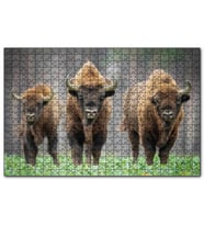 Cakapuzzle Bieszczady Bizonu Görseli  Puzzle Yapboz MDF (Ahşap) (500 Parça)