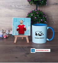 Uykucu Panda Fotoğraflı Dekoratif Taş, Kupa Bardak Beyaz Hediye (Model 4)