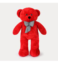 Pandamkee 80 Cm Sevgiliye Özel Hediyelik Ayı (Kırmızı)