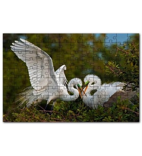 Cakapuzzle Birbirine Kur Yapan Ak Balıkçıl Kuşları Puzzle Yapboz MDF (Ahşap) (1000 Parça)