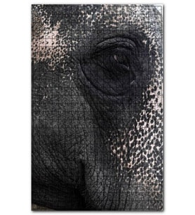 Cakapuzzle Fil Gözü Yakın Plan Puzzle Yapboz MDF (Ahşap) (1000 Parça)