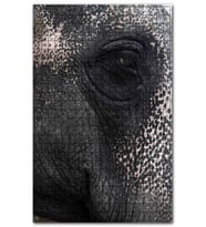 Cakapuzzle Fil Gözü Yakın Plan Puzzle Yapboz MDF (Ahşap) (1000 Parça)