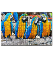 Cakapuzzle Daldaki Sarı Mavi Macaw Papağanları  Puzzle Yapboz MDF (Ahşap) (500 Parça)