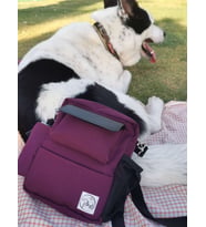 Pan Bag - Köpek Gezdirme Çantası (Mor)