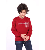 Toontoy Erkek Çocuk Creatıve Innovatıve Baskılı Sweatshirt (Bordo)