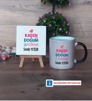 Kadın Doğum Uzmanı Dekoratif Taş, Kupa Bardak Kırmızı Hediye (Model 8)