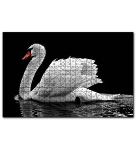 Cakapuzzle Göldeki Beyaz Kuğu  Puzzle Yapboz MDF (Ahşap) (255 Parça)