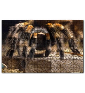 Cakapuzzle Tarantula Dijital Çizim  Puzzle Yapboz MDF (Ahşap) (255 Parça)