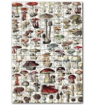 Cakapuzzle Mantar Türleri Botanik Şema Puzzle Yapboz MDF (Ahşap) (255 Parça)