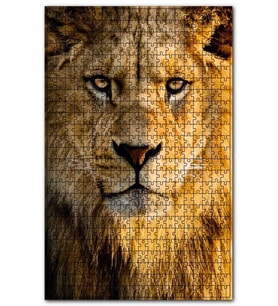 Cakapuzzle Gözlerinin İçine Bakan Erkek Aslan Puzzle Yapboz MDF (Ahşap) (255 Parça)
