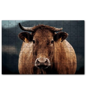 Cakapuzzle Kahverengi İnek Yakın Çekim Flu Arkaplan Puzzle Yapboz MDF (Ahşap) (500 Parça)