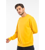 Erkek Bisiklet Yaka Rahat Kalıp 3 iplik İçi Polarlı Kalın Sweatshirt SPR25SW36 (Hardal)