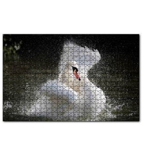 Cakapuzzle Gölde Kanatlarını Temizleyen Beyaz Kuğu Puzzle Yapboz MDF (Ahşap) (1000 Parça)
