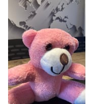 ÖZGÜNER RENKLİ  20CM AYICIK (Pembe)