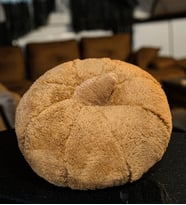 Dekoratif 50 Cm Pelüş Kabak Kırlent (Kahverengi)