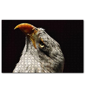 Cakapuzzle  Kel Kartal Kuşu  Puzzle Yapboz MDF (Ahşap) (500 Parça)