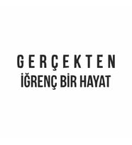 Gerçekten İğrenç Bir Hayat Araba Sticker siyah 16x5 CM (Siyah)