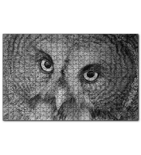 Cakapuzzle Gri Baykuş Yüz Yakın Çekim   Puzzle Yapboz MDF (Ahşap) (1000 Parça)
