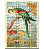 Cakapuzzle Alexandrine Halka Muhabbet Kuşu Puzzle Yapboz MDF (Ahşap) (1000 Parça)