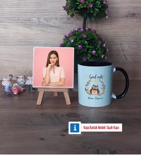 Baykuş Fotoğraflı Dekoratif Taş, Kupa Bardak Beyaz Hediye (Model 11)