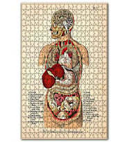 Cakapuzzle İnsan Vücudu Haritası Eski Puzzle Yapboz MDF (Ahşap) (1000 Parça)