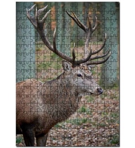 Cakapuzzle Ormanda Ren Geyiği Puzzle Yapboz MDF (Ahşap) (500 Parça)