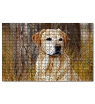 Cakapuzzle Kuru Otların Arasındaki Labrador Puzzle Yapboz MDF (Ahşap) (1000 Parça)