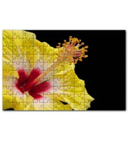 Cakapuzzle Sarı Gülhatmi Çiçeği Yakın Çekim Puzzle Yapboz MDF (Ahşap) (500 Parça)