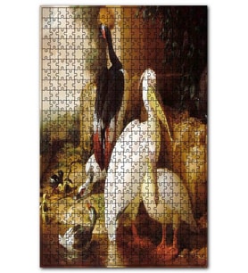 Cakapuzzle Parkta Pelikanlar İran Tavuğu ve Ördekler Puzzle Yapboz MDF (Ahşap) (255 Parça)