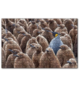 Cakapuzzle Yetişkin Kral Penguven ve Yavru Penguenler Görseli  Puzzle Yapboz MDF (Ahşap) (255 Parça)