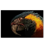 Cakapuzzle Siyah Arkaplan Turuncu Siyah Macaw  Puzzle Yapboz MDF (Ahşap) (1000 Parça)