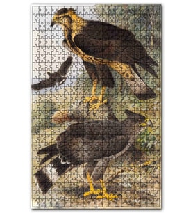 Cakapuzzle Taçlı Sağadet Kartallar Puzzle Yapboz MDF (Ahşap) (255 Parça)